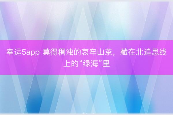 幸運5app 莫得稠濁的哀牢山茶，藏在北追思線上的“綠海”里